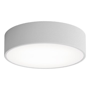 Brilagi - Koupenové stropní svítidlo CLARE 2xE27/24W/230V pr. 30 cm IP54 šedá