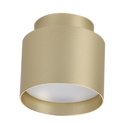 BRILAGI - LED Bodové svítidlo BACKLIT 1xGX53/15W/230V + LED/3W pr. 8 cm zlatá