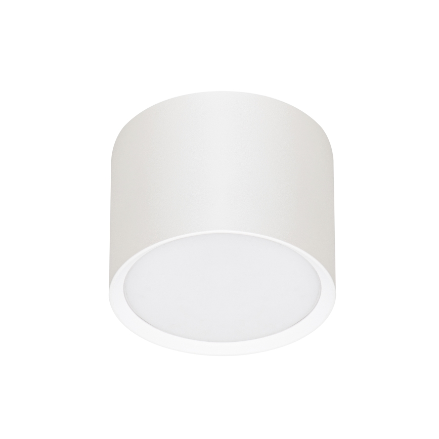 BRILAGI - LED Bodové svítidlo SMOOTH 1xGX53/15W/230V 60x82 mm bílá