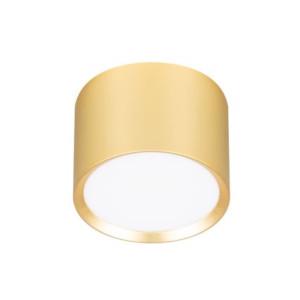 BRILAGI - LED Bodové svítidlo SMOOTH 1xGX53/15W/230V 60x82 mm zlatá