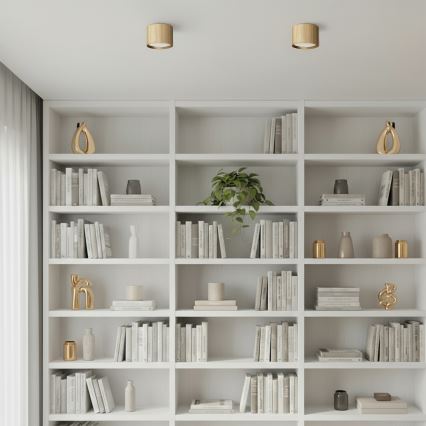 Brilagi - LED Bodové svítidlo STRIPY 1xGX53/15W/230V zlatá