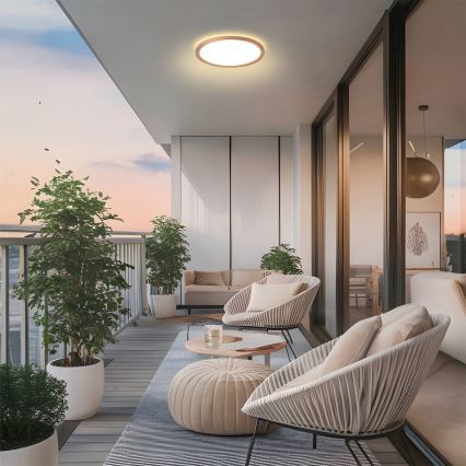 Brilagi - LED Koupelnové stropní svítidlo ULTRA SLIM LED/12W/230V pr.22,5 cm rose gold IP54