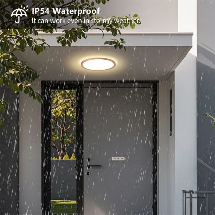 Brilagi - LED Koupelnové stropní svítidlo ULTRA SLIM LED/18W/230V pr. 30 cm rose gold IP54