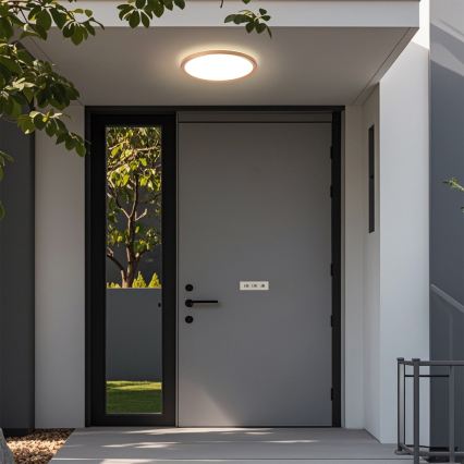 Brilagi - LED Koupelnové stropní svítidlo ULTRA SLIM LED/18W/230V pr. 30 cm rose gold IP54