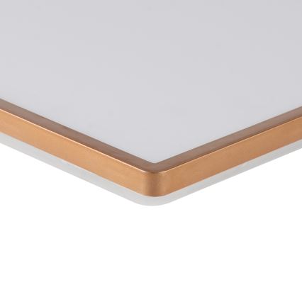 Brilagi - LED Koupelnové stropní svítidlo ULTRA SLIM LED/24W/230V 42x42 cm rose gold IP54