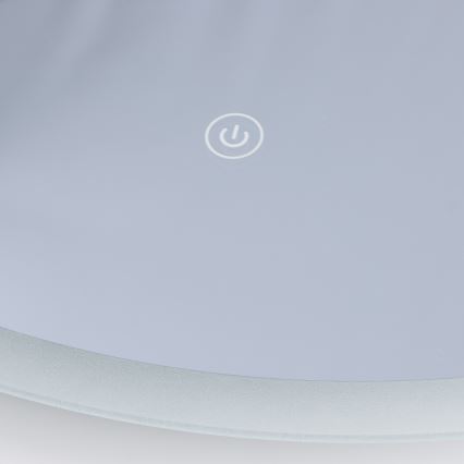 Brilagi - LED Koupelnové zrcadlo BERNATE LED/19W/230V pr. 60 cm stříbrná IP44 CRI 90 stmívatelné + CCT