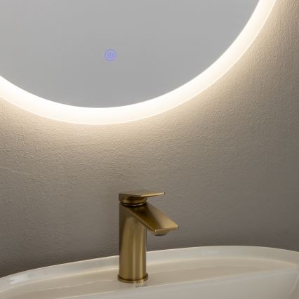 Brilagi - LED Koupelnové zrcadlo CUNEO LED/19W/230V pr. 60 cm IP44 CRI 90 stmívatelné + CCT