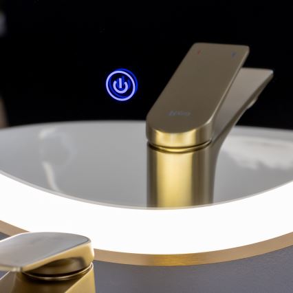 Brilagi - LED Koupelnové zrcadlo ERBA LED/25W/230V 50x80 cm zlatá IP44 CRI 90 stmívatelné + CCT