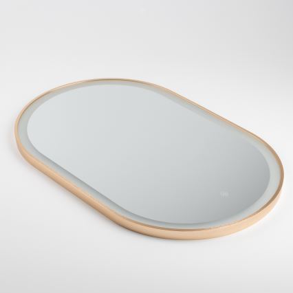Brilagi - LED Koupelnové zrcadlo ERBA LED/25W/230V 50x80 cm zlatá IP44 CRI 90 stmívatelné + CCT
