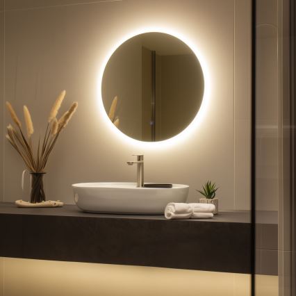 Brilagi - LED Koupelnové zrcadlo LUNA LED/19W/230V pr. 60 cm IP44 CRI 90 stmívatelné + CCT