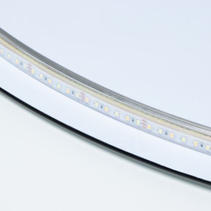 Brilagi - LED Koupelnové zrcadlo LUNA LED/32W/230V pr. 100 cm IP44 CRI 90 stmívatelné +CCT