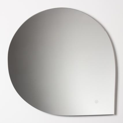 Brilagi - LED Koupelnové zrcadlo RICADI LED/19W/230V 60x60 cm IP44 CRI 90 stmívatelné + CCT