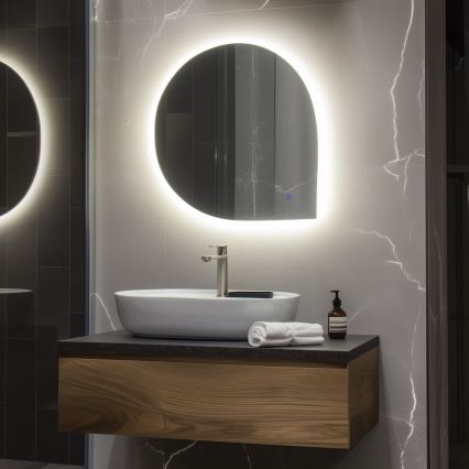 Brilagi - LED Koupelnové zrcadlo RICADI LED/19W/230V 60x60 cm IP44 CRI 90 stmívatelné + CCT