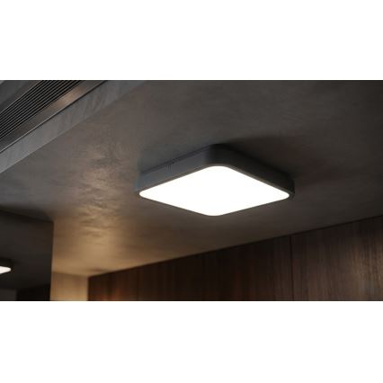 BRILAGI - LED Koupelnové stropní svítidlo se senzorem ZENNA LED/24W/230V 34,5x34,5 cm IP44 antracit + dálkové ovládání