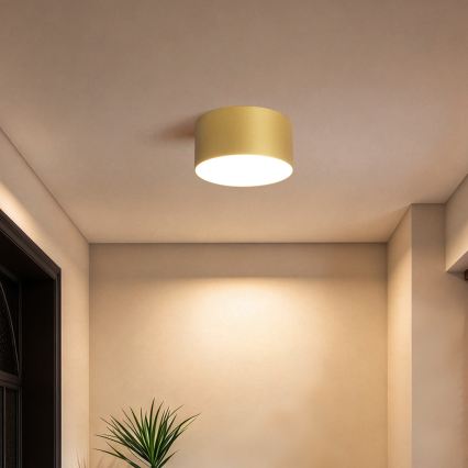 BRILAGI - LED Koupelnové stropní svítidlo FORIS LED/14W/230V pr. 12 cm zlatá IP44