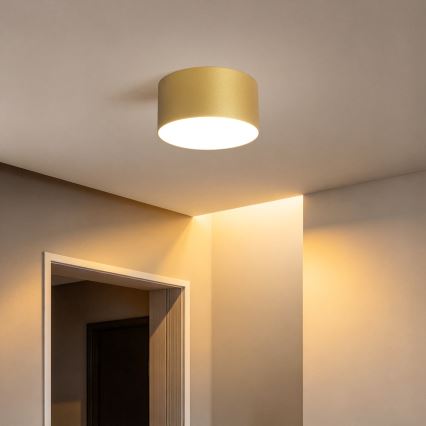 BRILAGI - LED Koupelnové stropní svítidlo FORIS LED/14W/230V pr. 12 cm zlatá IP44