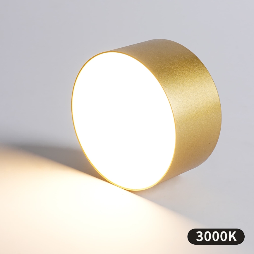 BRILAGI - LED Koupelnové stropní svítidlo FORIS LED/14W/230V pr. 12 cm zlatá IP44
