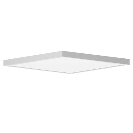 Brilagi - LED Koupelnové stropní svítidlo FRAME LED/40W/230V 60x60 cm IP44 bílá