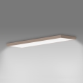 Brilagi - LED Koupelnové stropní svítidlo FRAME LED/50W/230V 120x30 cm IP44 béžová