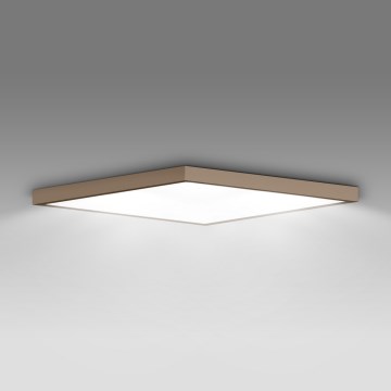 Brilagi - LED Koupelnové stropní svítidlo FRAME LED/50W/230V 60x60 cm IP44 béžová