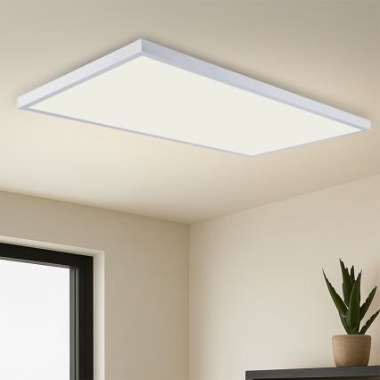 Brilagi - LED Koupelnové stropní svítidlo FRAME LED/96W/230V 120x60 cm 3000/4000/6000K IP44 bílá