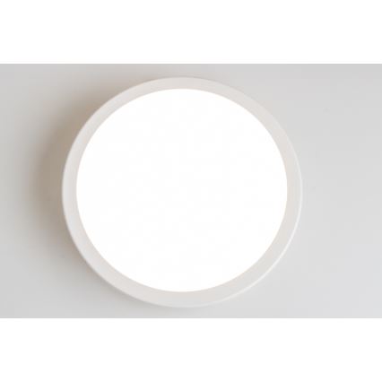Brilagi - LED Koupelnové stropní svítidlo PERA LED/18W/230V pr. 22 cm IP65 bílá