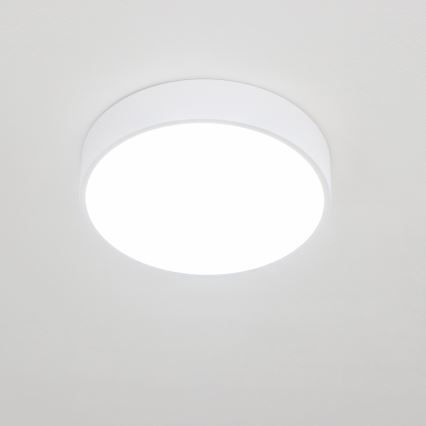 Brilagi - LED Koupelnové stropní svítidlo POOL LED/24W/230V 3000/4000/5500K pr. 30 cm IP54 bílá