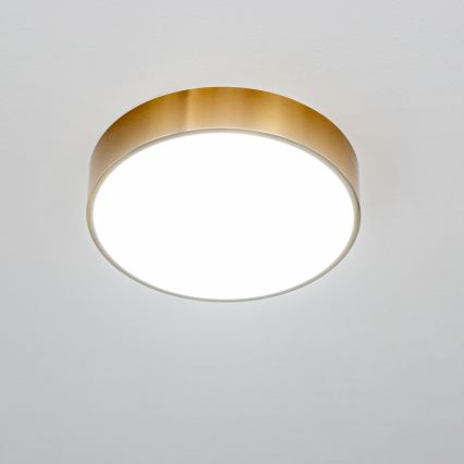 Brilagi - LED Koupelnové stropní svítidlo POOL LED/24W/230V 3000/4000/5500K pr. 30 cm IP54 bronz