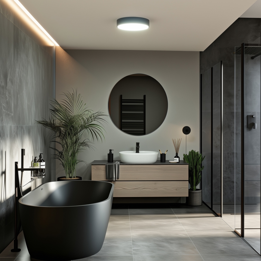 Brilagi - LED Koupelnové stropní svítidlo POOL LED/24W/230V 3000/4000/5500K pr. 30 cm IP54 černá