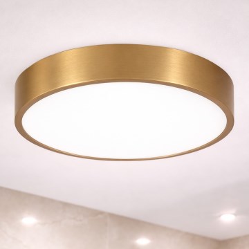 Brilagi - LED Koupelnové stropní svítidlo POOL LED/36W/230V 3000/4000/5500K pr. 40 cm IP54 bronz