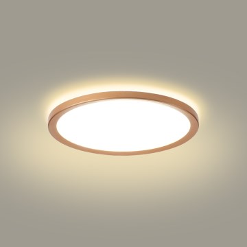 Brilagi - LED Koupelnové stropní svítidlo ULTRA SLIM LED/18W/230V pr. 30 cm rose gold IP54