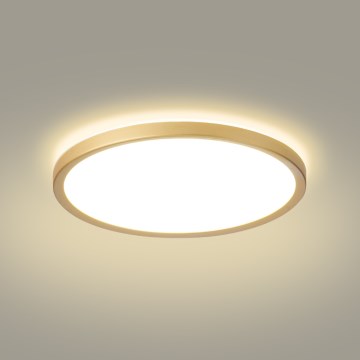 Brilagi - LED Koupelnové stropní svítidlo ULTRA SLIM LED/24W/230V pr. 42 cm zlatá IP54