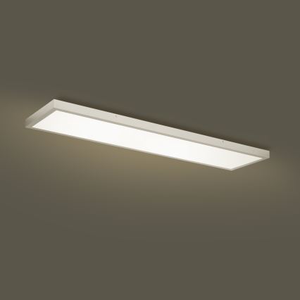 Brilagi - LED Koupelnové stropní svítidlo FRAME LED/50W/230V 3000/4000/6000K 120x30 cm IP44 stříbrná
