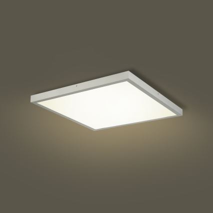 Brilagi - LED Koupelnové stropní svítidlo FRAME LED/50W/230V 3000/4000/6000K 60x60 cm IP44 stříbrná