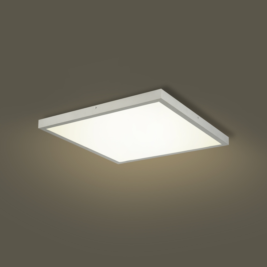 Brilagi - LED Koupelnové stropní svítidlo FRAME LED/50W/230V 3000/4000/6000K 60x60 cm IP44 stříbrná