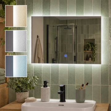 BRILAGI - LED Koupelnové zrcadlo LUCE LED/20W/230V 40x60 cm IP44 CRI 90 stmívatelné + CCT