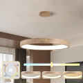 BRILAGI - LED Lustr na lanku FALCON WOOD LED/60W/230V 3000/4000/6000K pr. 80 cm dřevo