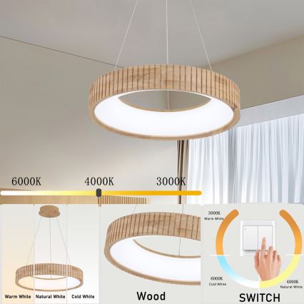 Brilagi - LED Lustr na lanku FALCON WOOD MODERN LED/30W/230V 3000/4000/6000K pr. 45 cm dřevo
