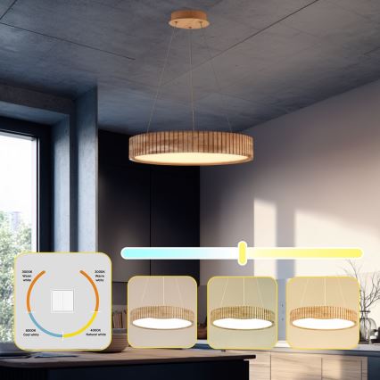 Brilagi - LED Lustr na lanku FALCON WOOD MODERN LED/30W/230V 3000/4000/6000K pr. 45 cm dřevo