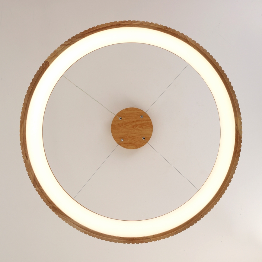Brilagi - LED Lustr na lanku FALCON WOOD MODERN LED/60W/230V 3000/4000/6000K pr. 80 cm dřevo