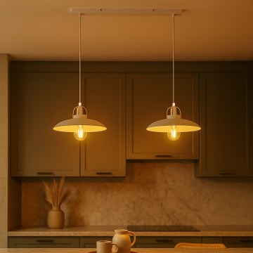 Brilagi - LED Lustr na lanku FLAMENGO 2xE27/60W/230V bílá