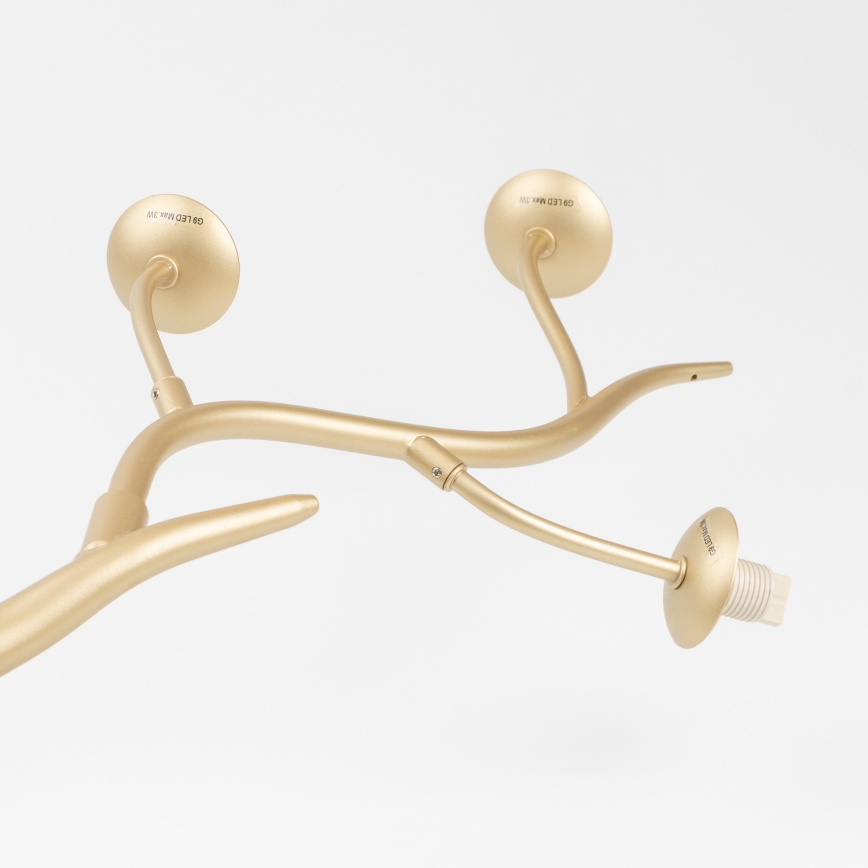 Brilagi - LED Lustr na lanku MISTEL 6xG9/3W/230V zlatá/bílá