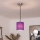 Brilagi - LED Lustr na lanku NUBILA 1xE27/60W/230V pr. 14 cm černá/fialová