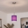 Brilagi - LED Lustr na lanku NUBILA 1xE27/60W/230V pr. 14 cm fialová