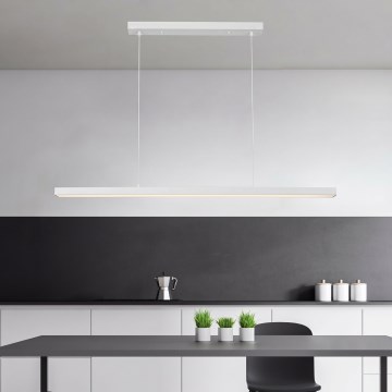 Brilagi - LED Lustr na lanku PAXIS LED/30W/230V 120 cm bílá