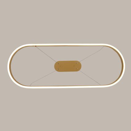 Brilagi - LED Lustr na lanku PONDIE LED/44W/230V 80x30 cm zlatá