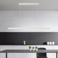 Brilagi - LED Lustr na lanku PPAXIS LED/30W/230V 120 cm bílá