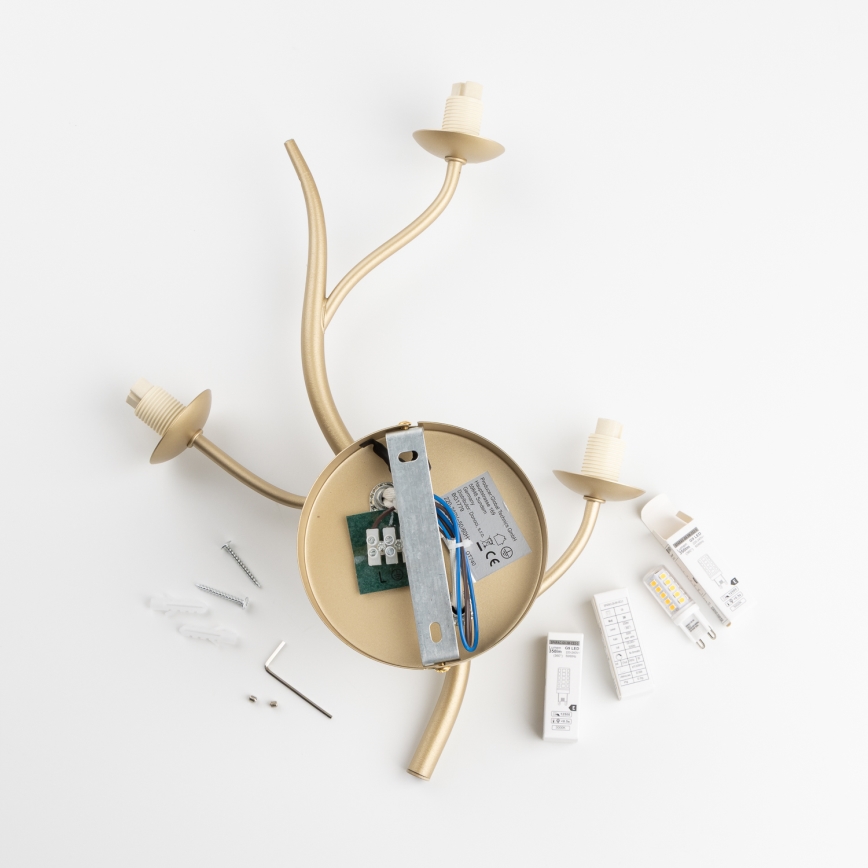 Brilagi - LED Nástěnné svítidlo MISTEL 3xG9/3W/230V zlatá