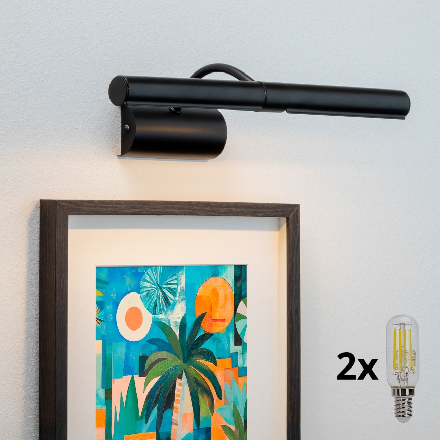 Brilagi - LED Obrazové svítidlo DANAE 2xE14/4W/230V 3000K černá