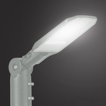 Brilagi - LED Pouliční lampa URBANLIGHT LED/50W/230V šedá IP65